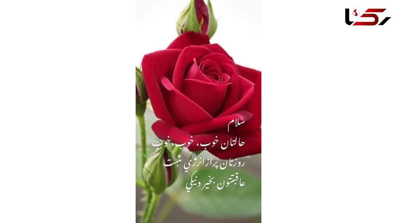 فال ابجد امروز / 18 دی + فیلم