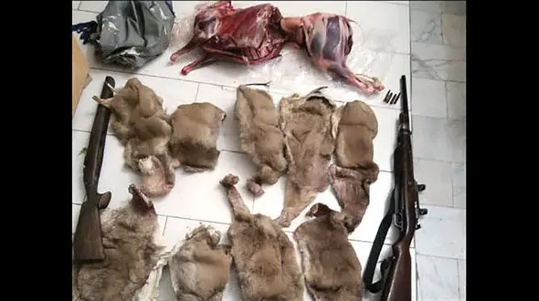 بازداشت بی رحم ترین شکارچی در کرمان + عکس 16+