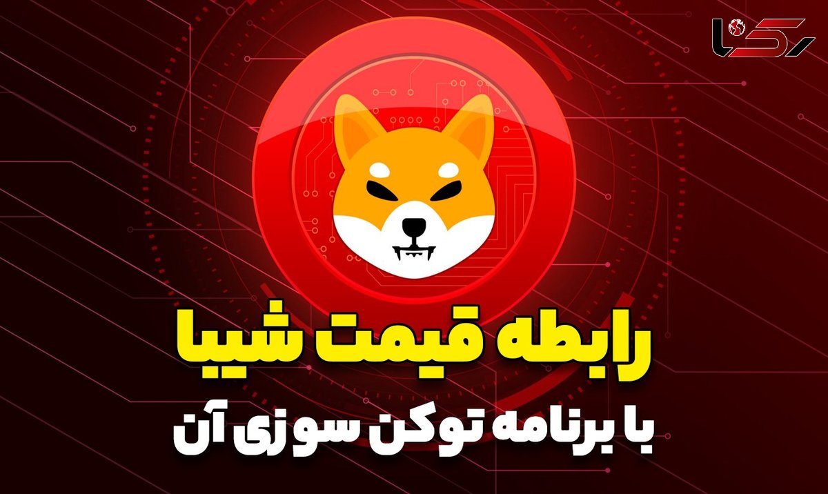 رابطه قیمت شیبا با برنامه توکن سوزی آن