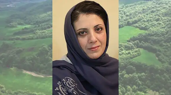 آیا برخی دانشگاهیان به تعارض منافع گرفتار شده‌اند؟ / نقدی بر نامه 70 استاد دانشگاه و کارشناس جنگل به پزشکیان