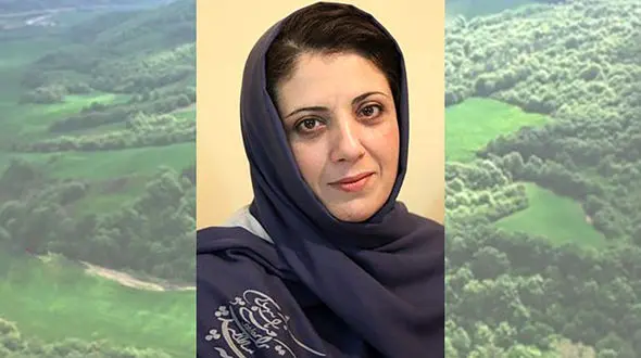 آیا برخی دانشگاهیان به تعارض منافع گرفتار شده‌اند؟ / نقدی بر نامه 70 استاد دانشگاه و کارشناس جنگل به پزشکیان