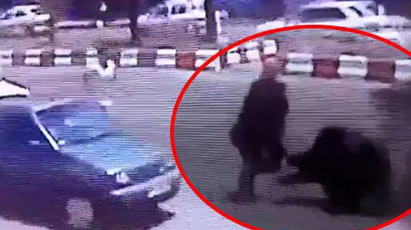 واکنش تند امام جمعه به کتک زدن فجیع زن محجبه در خمام+ عکس لحظه حادثه