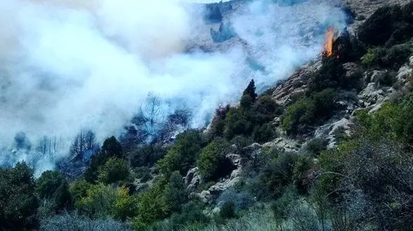 وحشت در جنگل ابر شاهرود ! / جدال با مرگ یک خانواده !