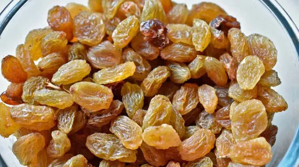 روزانه کشمش بخورید + عوارض مصرف بیش از حد کشمش