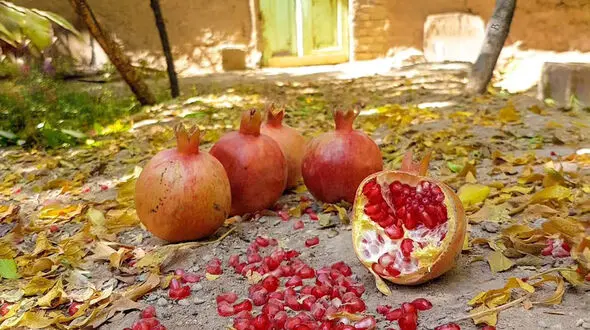فال ابجد 25 آذر + فیلم