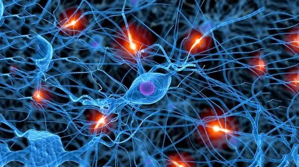 جنگ شیمیایی در بدن چگونه است؟