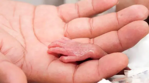  سقط غیرقانونی در خانه جان مادر نیشابوری را گرفت + جزییات