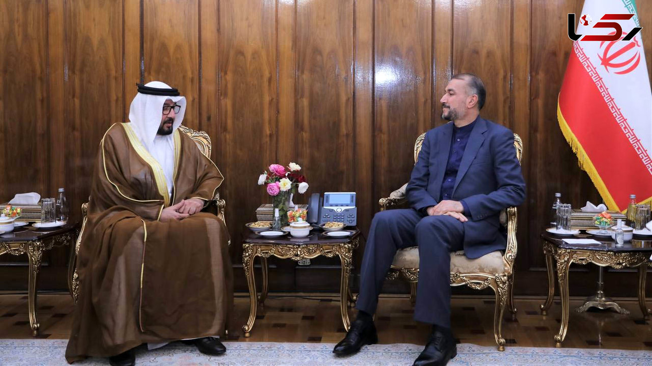 دیدار سفیر امارات متحده عربی با امیرعبداللهیان