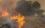 آتش سوزی گسترده در اورامانات / فراخوان ستاد مدیریت بحران برای خاموش کردن آتش /بالگرد آب پاش هم کاری از پیش نبرد