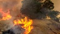شناسایی 21 مقصر آتش‌ سوزی‌‌ جنگل‌ های کهگیلویه و بویراحمد