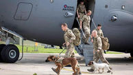 سفر حامی حیوانات بریتانیایی از افغانستان همراه سگ و گربه ها 