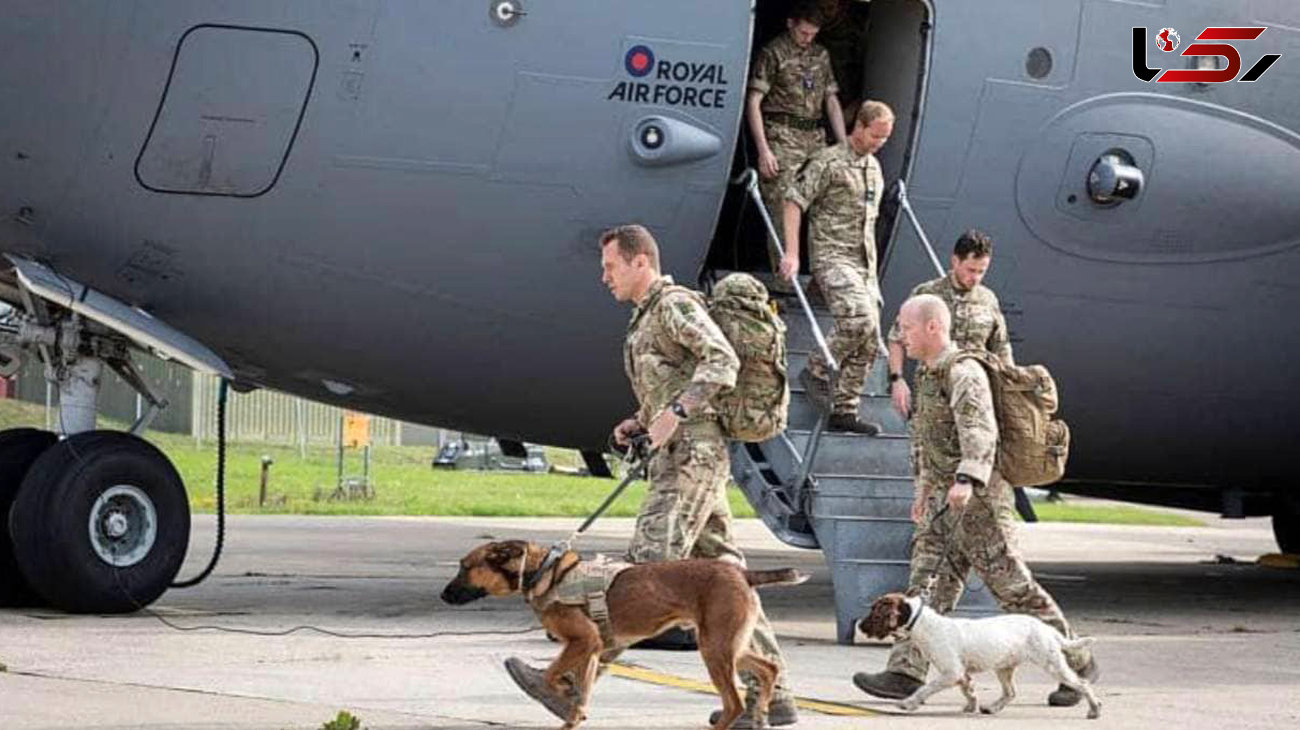 سفر حامی حیوانات بریتانیایی از افغانستان همراه سگ و گربه ها 