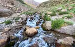 ببینید / نماهنگ بی کلام آرامش بخش همراه با تصاویر طبیعت بی نظیر "سی سخت" + فیلم 