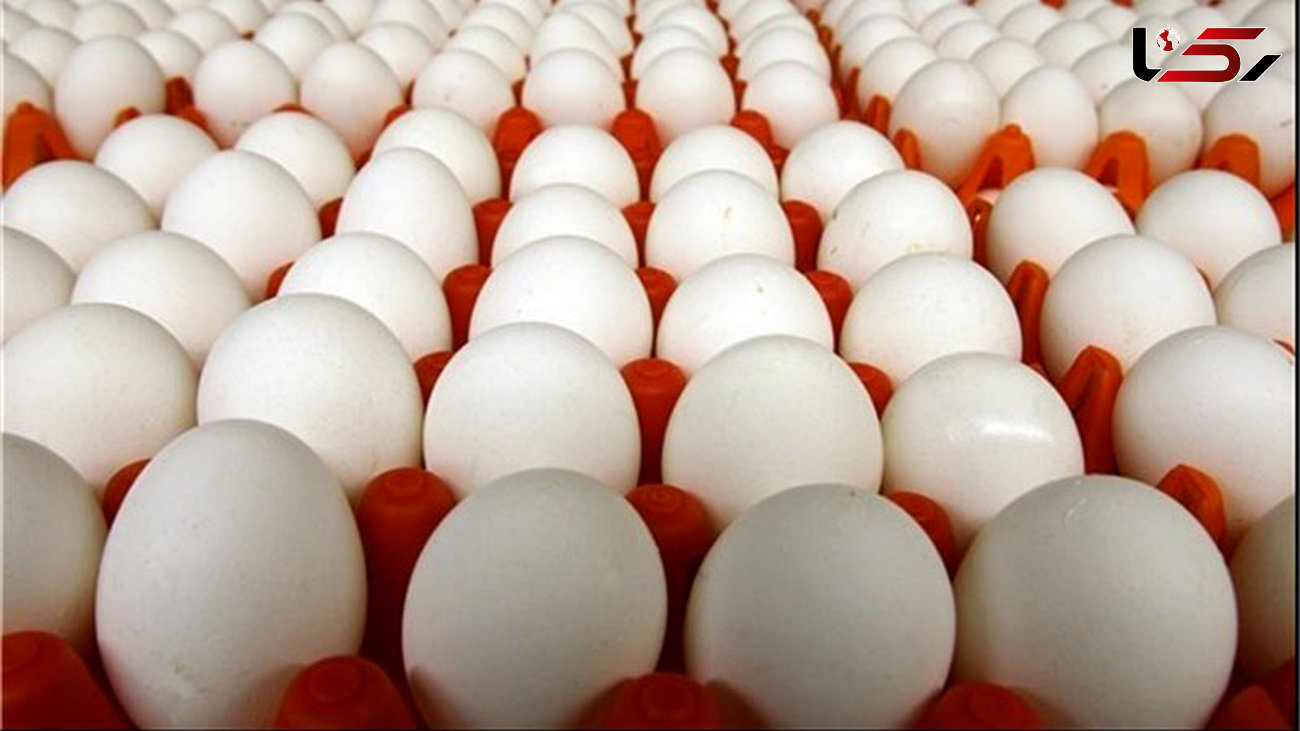 توزیع تخم مرغ ارزان قیمت در میادین/صادرات همچنان در تنگنا!