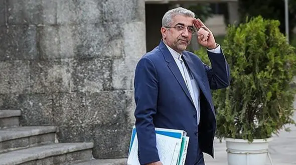 خداحافظی وزیر نیرو با دنیای سیاست 