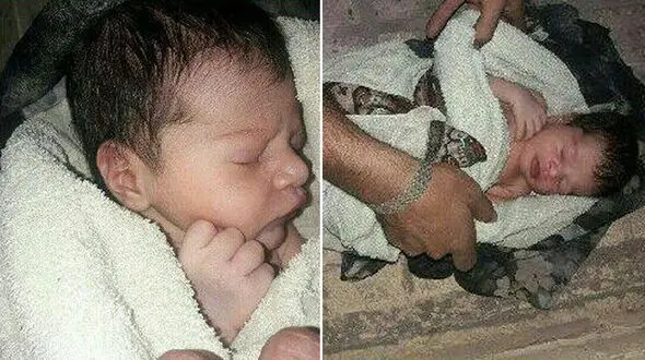نوزاد 2 روزه را بی‌رحمانه در لنجان سر راه گذاشتند+ عکس