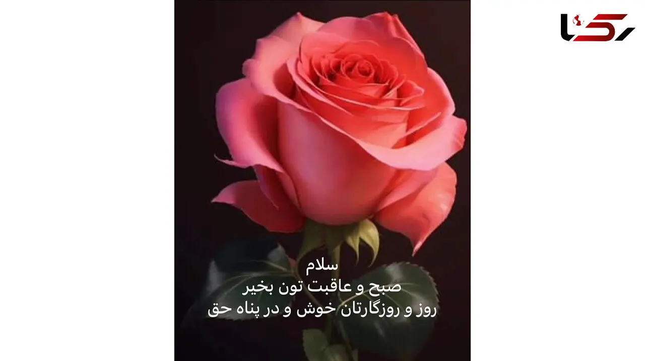 فال ابجد ویژه 26 مهر 