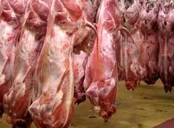 بررسی افزایش حیرت‌آور قیمت مصوب گوشت قرمز در تاریخ ۲۰ آذر ۱۴۰۴