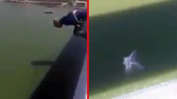 شیرجه مرگبار به دریاچه از ارتفاع 35 متری + فیلم