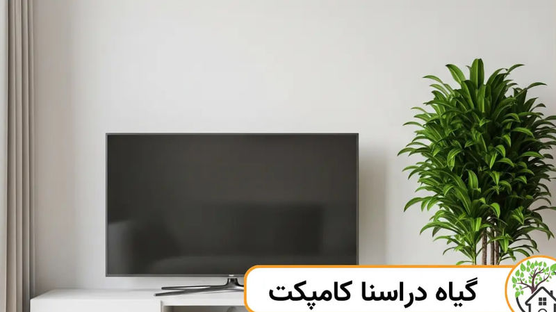 دراسنا کامپکت