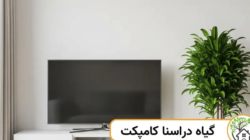 دراسنا کامپکت