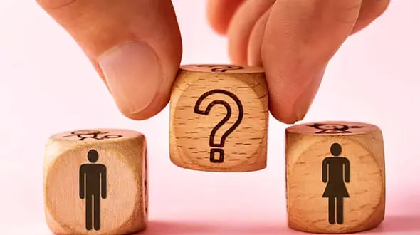 شیمیل چیست؟ + ناگفته های عملی 