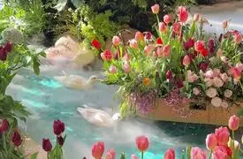 شکست بخشی از مسیره