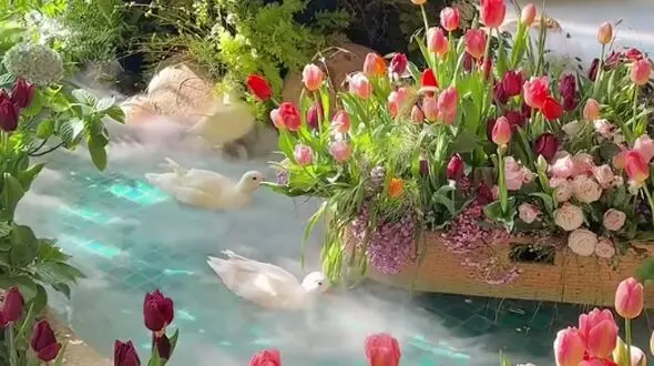 شکست بخشی از مسیره