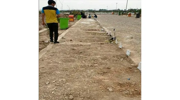 عکس غم انگیز از قطعه کرونای آرامستان قم  