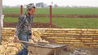 مهاجرت روزافزون به مازندران باعث کمبود شغل شد، جبران بی‌پولی با شغل دوم و سوم/ نیروهای شرکتی و کارگران حداقل‌بگیر بیشتر در معرض آسیب اند/خرید موبایل برای تحصیل فرزند آرزو شد!