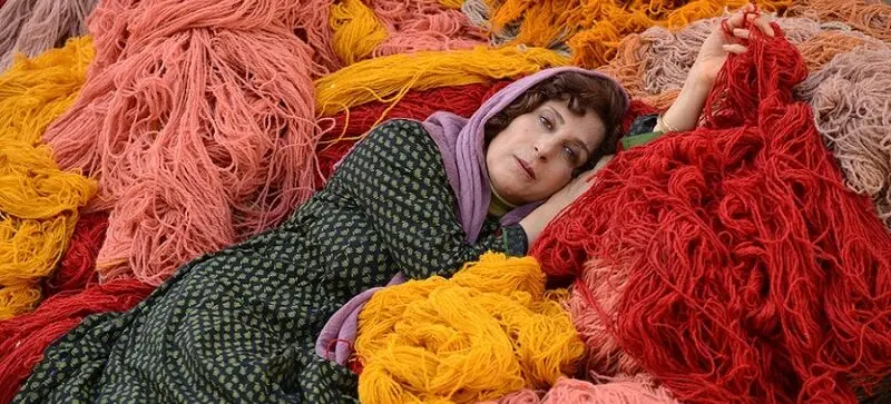 بنفشه آفریقایی 