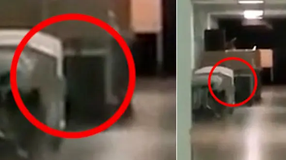 روح سرگردان دختر کشته شده در راهروی بیمارستان+فیلم وعکس