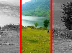 فیلم چراگاه گاوها در سد لفور البرز