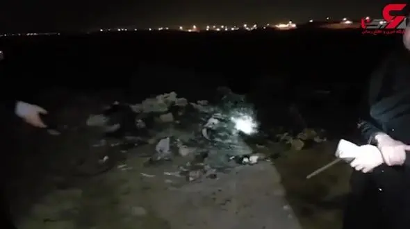 3 سگ کشته شده اند نه 300 سگ!؟ / این مسئول حرف های عجیبی زد ! + فیلم 