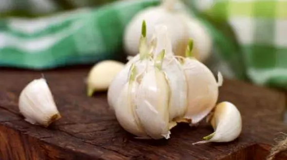 اگر تپش قلب دارید سیر نخورید!