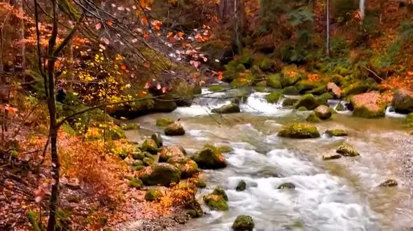 زیبایی ببینیم 