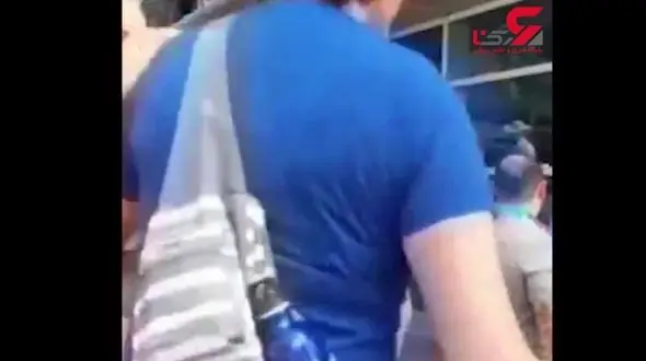 گاوی که یک شهر را به هم ریخت+فیلم