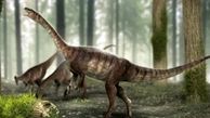 کشف بقایای نخستین دایناسور گردن بلند