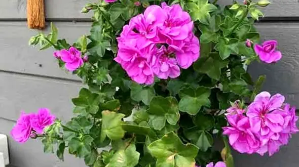 فال و طالع بینی روزانه 12 شهریور 