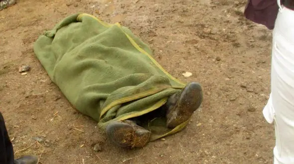 مرگ خوف انگیز چوپان و گوسفندانش در میاندوآب + عکس 