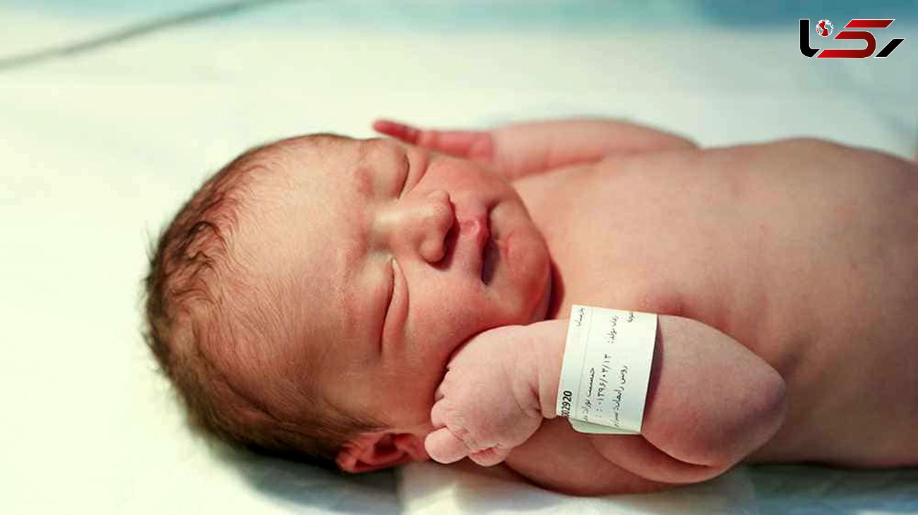 تولد بیش از ۳۰ هزار نوزاد سالم به روش لقاح مصنوعی در مشهد
