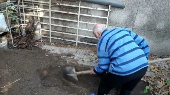 عکس بهلول  در حال کندن محل دفن جنازه شیما صباگردی مقدم + جزییات