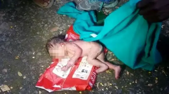 مورچه ها نوزاد دختر را زنده زنده خوردند!  + عکس 16+