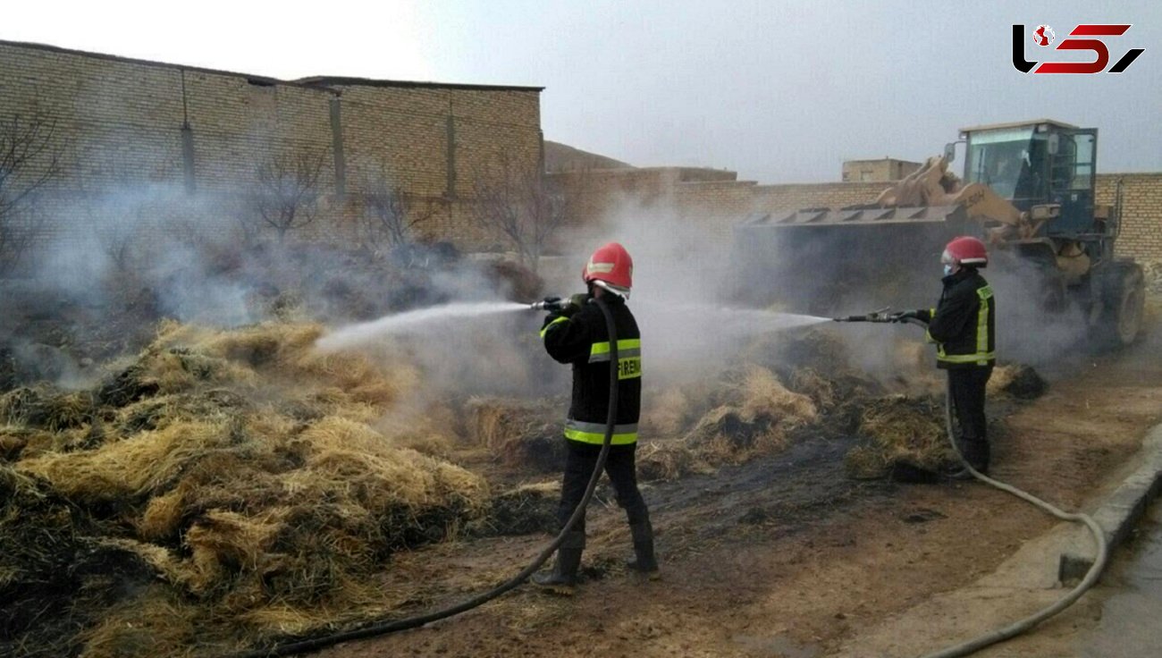 آتش‌سوزی یک واحد گاوداری در مهریز یزد مهار شد