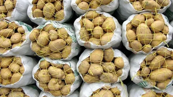 ژاپنی غذا بخور/ فواید جالب سیب زمینی