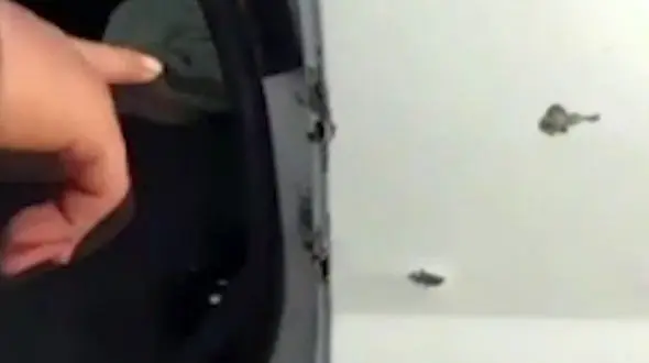 فیلم تیرباران ال 90 مرد اهوازی / معجزه در زنده ماندن این مرد 