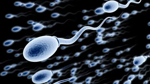 زنگ خطر اسپرم ها با چربی های اشباع شده