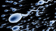 زنگ خطر اسپرم ها با چربی های اشباع شده