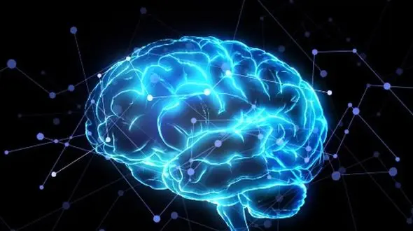 چگونه از داغ شدن مغز جلوگیری کنیم؟ راهکارهای علمی