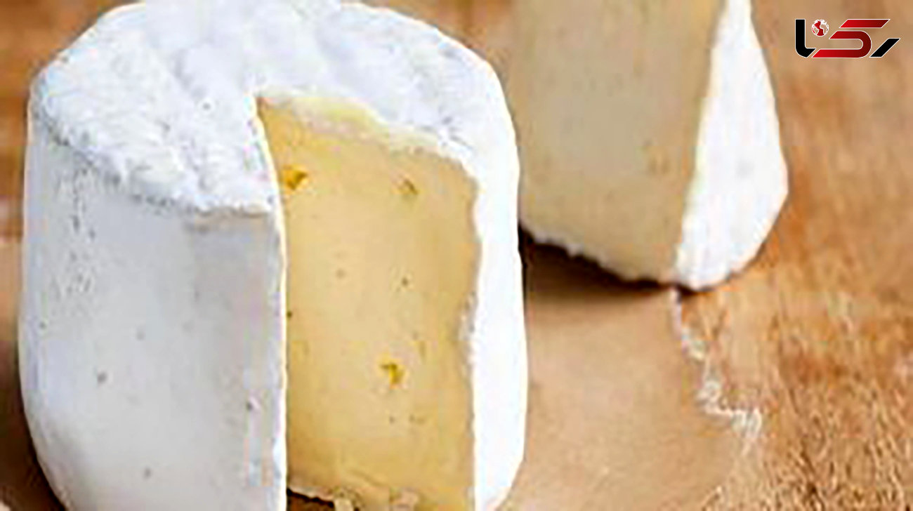 ارتباط مصرف پنیر با زوال شناختی